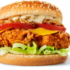  Regular Chicken Burger